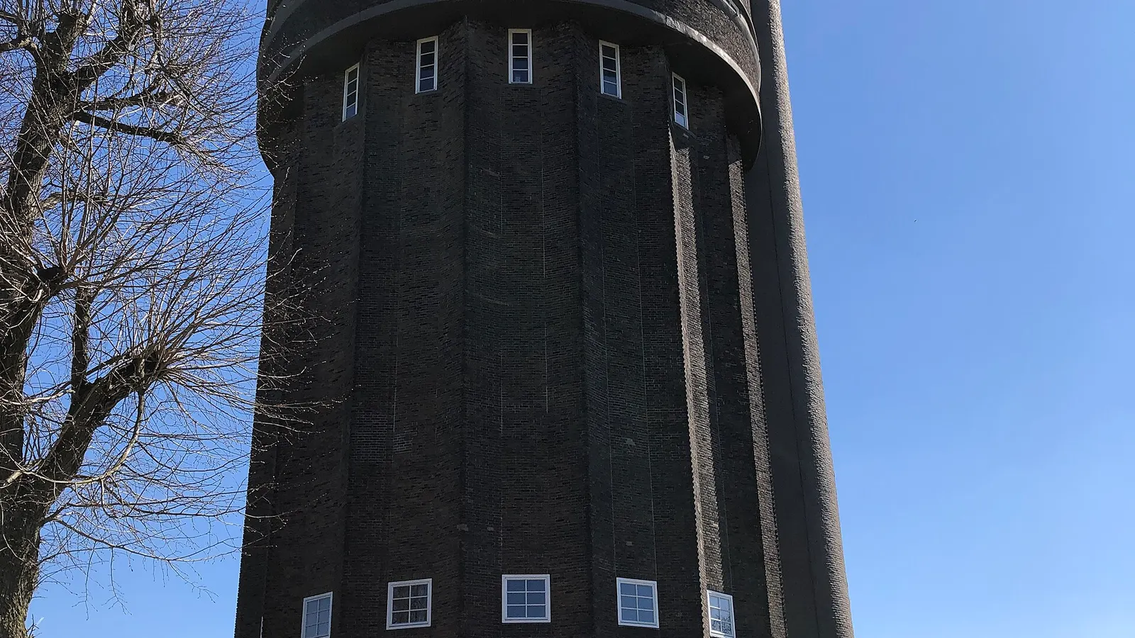 Foto van Schimmert