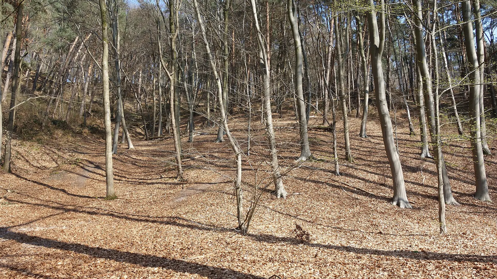 Foto van Sweikhuizen